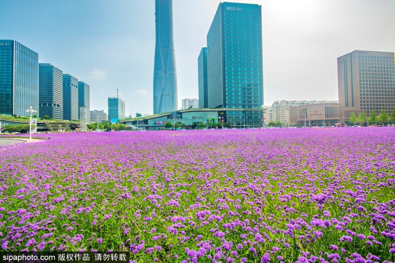 天津宜居生态型新城区滨海新区游玩地推荐:全