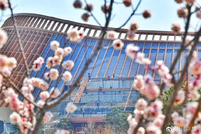 世园会开公交专线 走哪里您说了算!