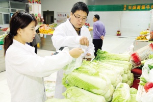 天津蔬菜种植基地：绿色产业的新画卷