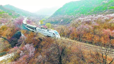 居庸關花海棧道建成可多個角度觀賞花海和長城美景