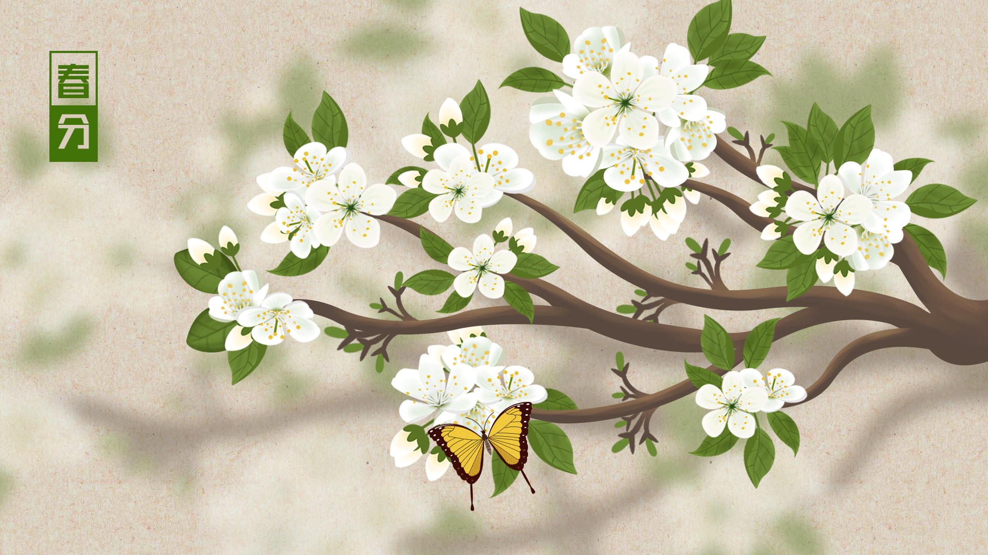 1920_1080gif 动态图 动图